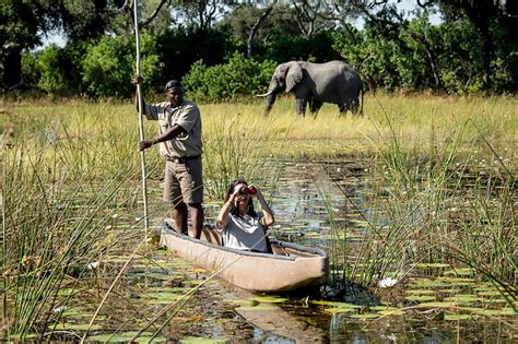 Experience A Mokoro Safari In The Okavango Delta | Art Of Safari