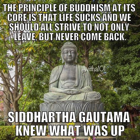 The Buddha brings good wisdom : r/memes