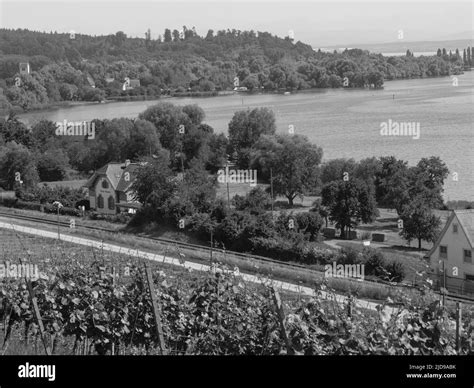 at the lake constance in germany Stock Photo - Alamy