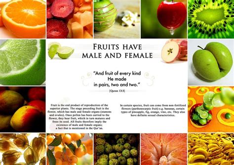 Picture Perfect : Quran & Modern Science - Fruits have Male & Female ...