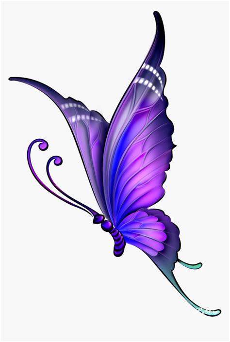 Easy Beautiful Easy Butterfly Drawing With Colour - Janio-Cesar