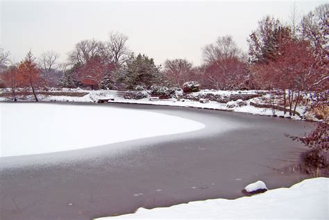 Frozen Pond Free Stock Photo - Public Domain Pictures