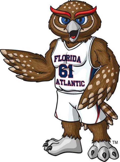 FAU Owls mascot, Owlsey #CollegeColorsDay #GO OWLS @College Colors ...