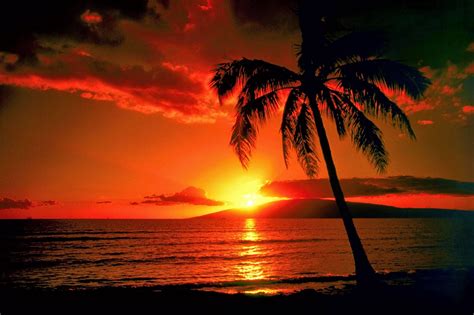 Hawaii sunset | Sunset beach, Manzara, Doğa fotoğrafları