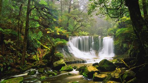 Waterfall Jungle Forest Rocks Stones Moss HD wallpaper | nature and ...