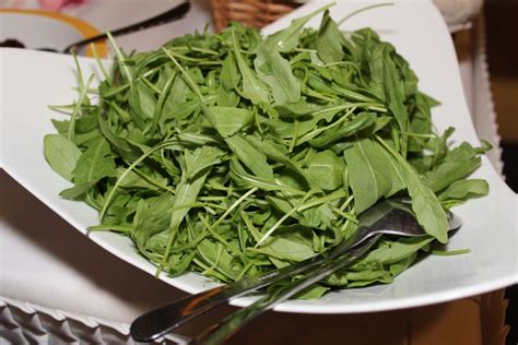 Rocket, arugula, rucola: how genetics determines the health benefits ...