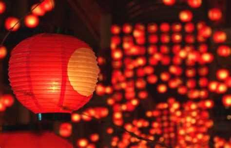 Japanese Lanterns