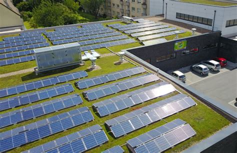 Planning to install rooftop solar panels? How about some grass beneath it