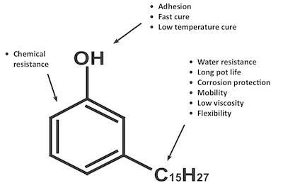 Cardanol – Cashew – CNSL – Cardanol