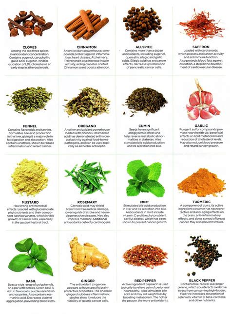 Healing Properties of Herbs - Infographics