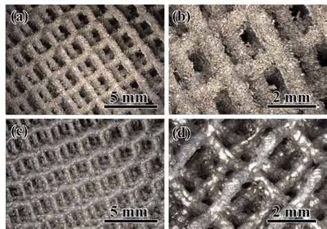 Optical photographs showing cubic diamond lattice structure (d = 0.6 ...