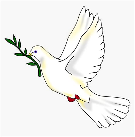 Transparent Holy Spirit Dove Png - Rock Dove, Png Download - kindpng