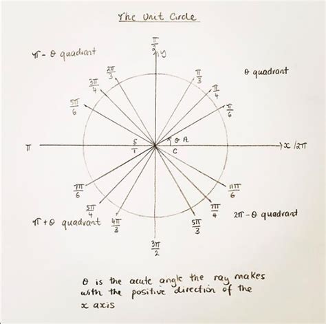 The Trigonometry Unit Circle showing the rays of all the special angles ...