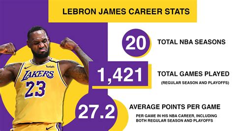 Lebron James basketball stats - playoff , high school, career points