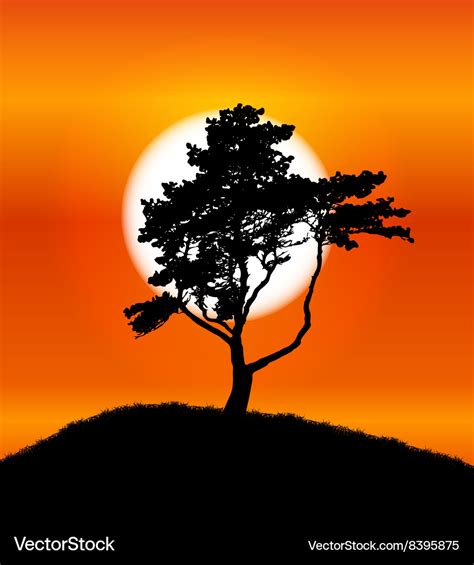 Silhouette of tree on sunset background Royalty Free Vector