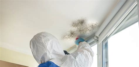 Mold Treatment Company Singapore | Mould Remediation Company