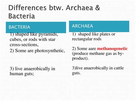 Archaea Vs Bacteria