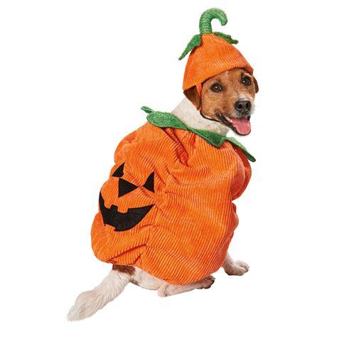 The Petco Halloween Pumpkin Dog Costume is the perfect Halloween ...