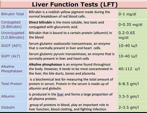 Liver test | Medical school stuff, Medical school essentials, Medical ...