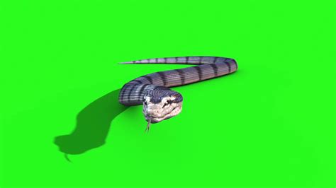 Anaconda Snake SKIN 2 - PixelBoom