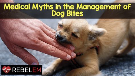 Medical Myths in the Management of Dog Bites - REBEL EM - Emergency ...