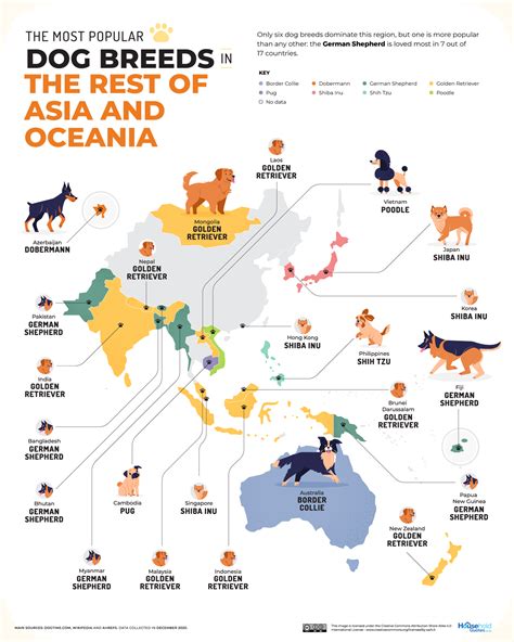 Here is the most popular dog breed in every country - The Global Paw