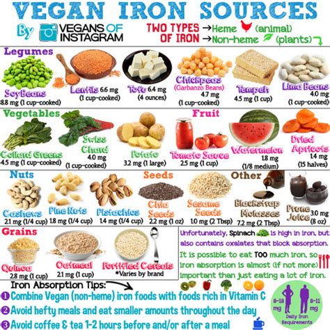 Vegan Sources of Iron: Infographic | 22 Vegan Sources of Iron