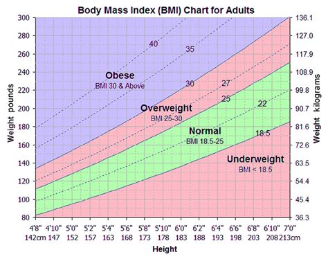 What Is Obesity - Causes, Statistics, Facts, Effects & Treatments