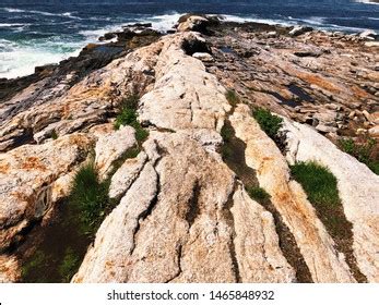 549 Pemaquid Point Light Stock Photos, Images & Photography | Shutterstock