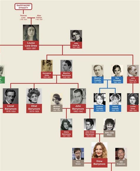 Barrymore Family Tree | Barrymore family, John drew barrymore, Family tree