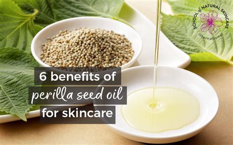 6 benefits of perilla seed oil for skin - School of Natural Skincare