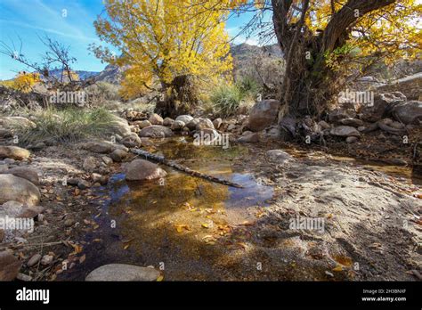 Hiking in Catalina State Park, Arizona.x Stock Photo - Alamy