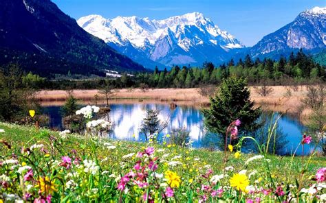 spring in the mountains - Spring Wallpaper (31493838) - Fanpop