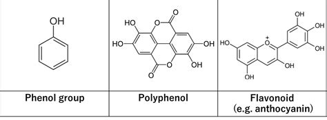 Polyphenols, flavonoids, anthocyanins – all antioxidants, but are they ...