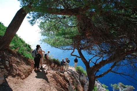 Hiking in the Calanques of Marseille. 6-day trip. UIMLA guide