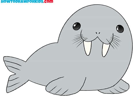 Walrus Face Drawing