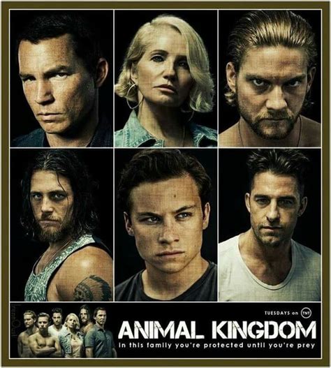 Animal Kingdom | Animal kingdom tnt, Animal kingdom tv show, Animal kingdom