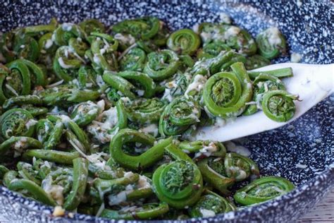 Spring Salad with fiddleheads (fiddlehead salad) - Food Meanderings