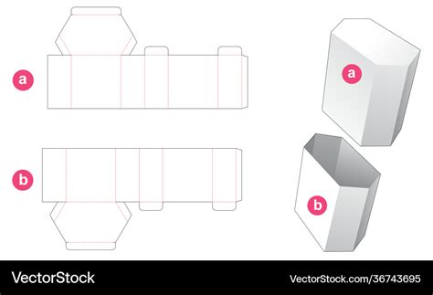 Hexagon Box Template Vector