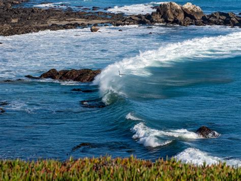 Whaler's Cove Beach, Pescadero | cityseeker