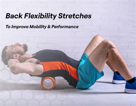 10 Back Flexibility Stretches To Improve Mobility & Performance – Fitbod