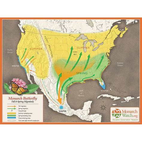 Monarch Migration Map | Monarch Watch