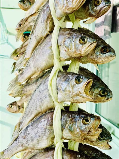 Dried Yellow Croaker (Gulbi) - Korean Ingredient - Kimchimari