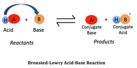 Bronsted-Lowry Acid: Definition & Examples - Video & Lesson Transcript ...