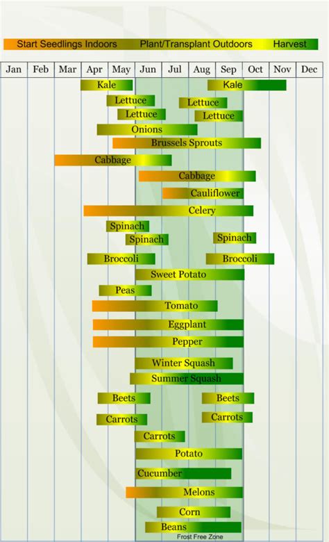 Zone 5 Vegetable Planting Calendar/Schedule - VeggieHarvest.com