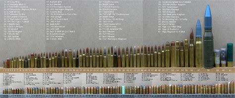 Rifle Caliber Size Comparison Chart