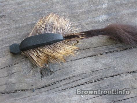 Morrish mouse pattern for trout | Fly fishing tips, Mouse fly, Trout