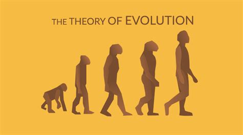 Theory of Evolution: Charles Darwin and Natural Selection - Earth How