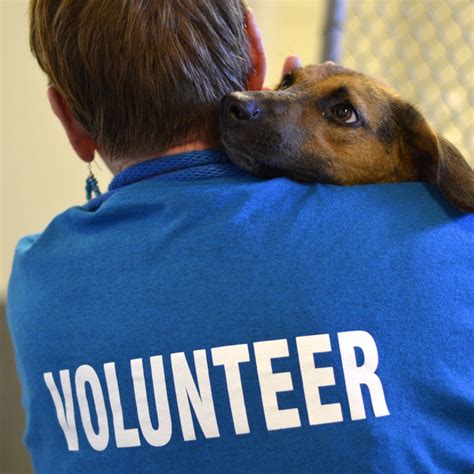 Volunteer - Capital Area Humane Society